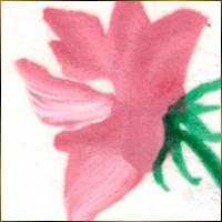 Alexis Design | Same Gender Weddings and Galligraphy