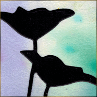 Alexis Design | Same Gender Weddings and Galligraphy