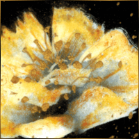 Alexis Design | Same Gender Weddings and Galligraphy