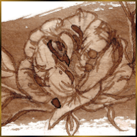 Alexis Design | Same Gender Weddings and Galligraphy