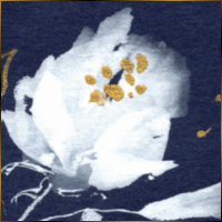 Alexis Design | Same Gender Weddings and Galligraphy