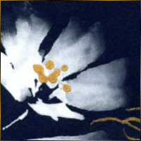 Alexis Design | Same Gender Weddings and Galligraphy