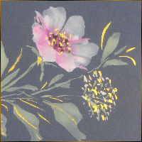 Alexis Design | Same Gender Weddings and Galligraphy