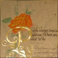 Alexis Design | Same Gender Weddings and Galligraphy