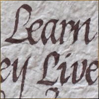 Alexis Design | Same Gender Weddings and Galligraphy