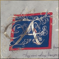 Alexis Design | Same Gender Weddings and Galligraphy