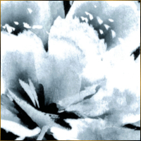 Alexis Design | Same Gender Weddings and Galligraphy