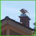 CR Roofing and Eavestroughing | 403-671-1809