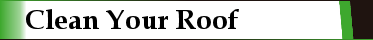 Clean Your Roof