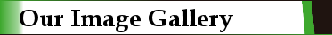 Our Image Gallery