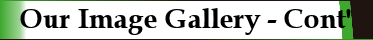 Our Image Gallery Continued Our Image Gallery Continued