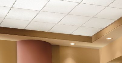 Drop Down Ceiling