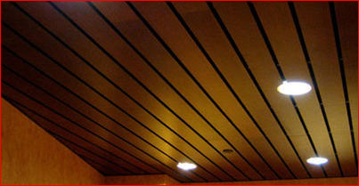 Is that Drop Ceiling?