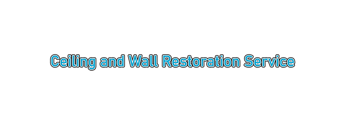 M Palumbo Plastering | Ceiling and Wall Restoration Overlay
