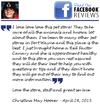 Facebook Review from Christina May