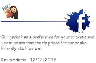 Facebook User Reviews