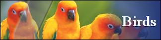 Petwarehouse Fort Wayne - Pet Care for Birds