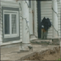 Before and After | Winges Carpentry